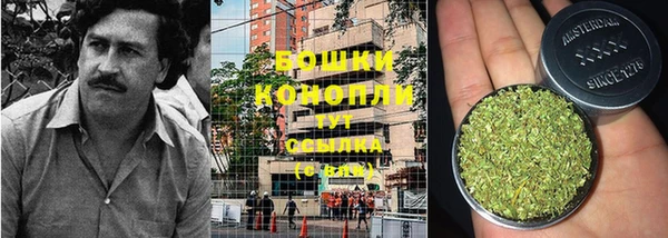 круглые Белокуриха