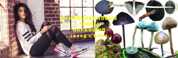 mdpv Беломорск