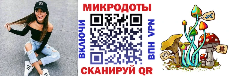 Псилоцибиновые грибы Psilocybe  Будённовск 